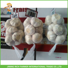 Ail frais en froid en provenance de Chine